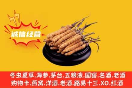 临沧市双江回收冬虫夏草